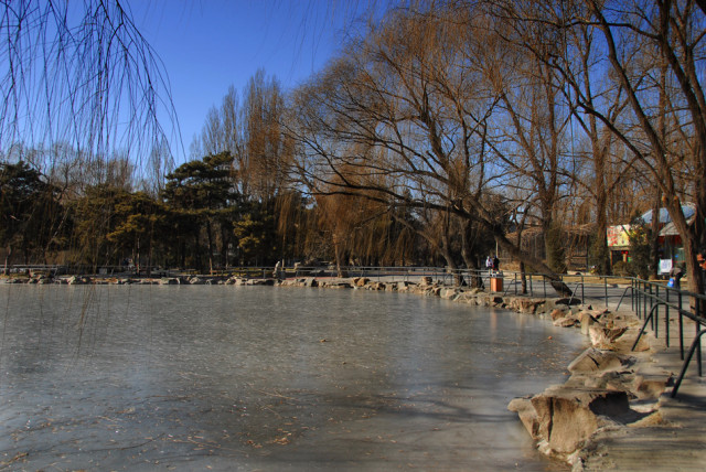 frozen pond