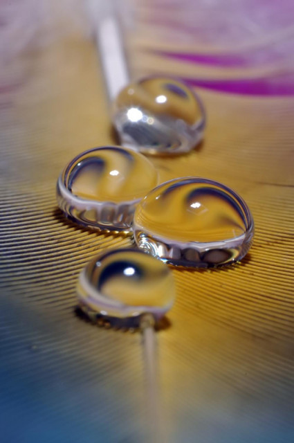 :: Four Drops ::