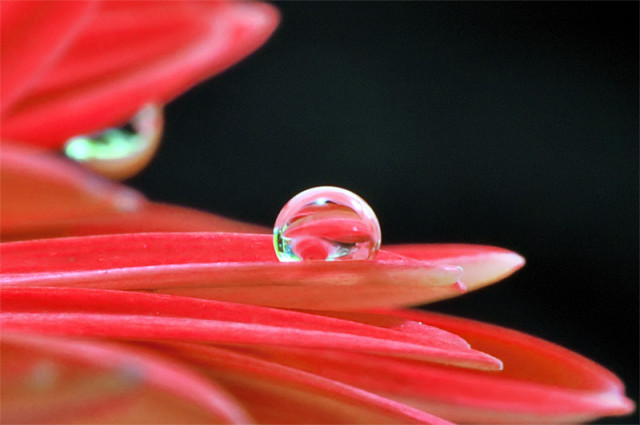 Element Of Water