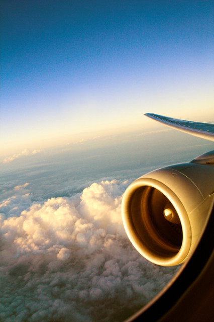 Flying High