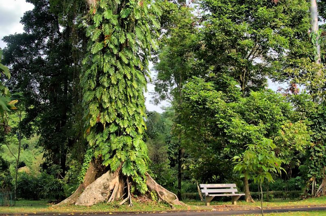 Kursi Kosong, Tidak Usah Rebutan