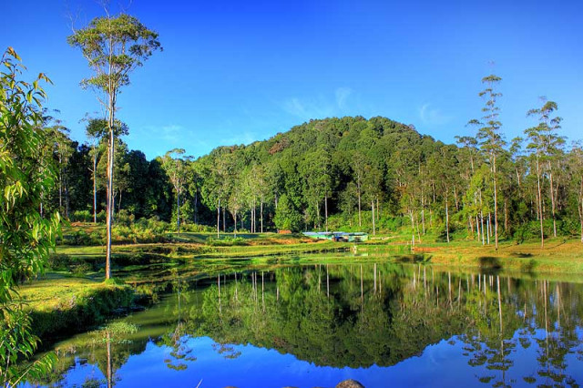 morning reflection