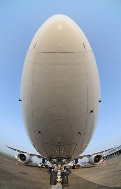 Giant Egg