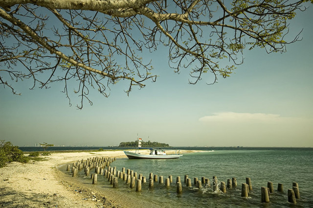 :: Curve of Shore ::