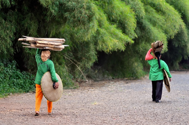 Melangkah dengan pasti
