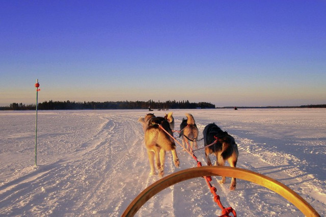 Riding Huski