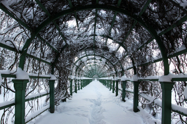 Winter # 5
