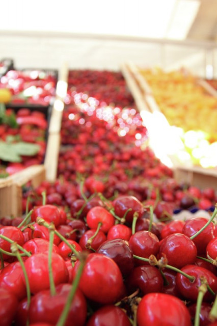 Italian Cherry