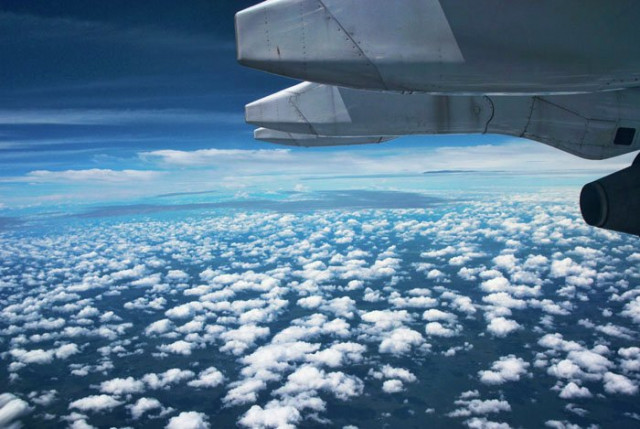 ... di bawah sayap ...