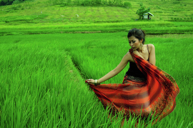 Gantini : Dewi Sri Menari