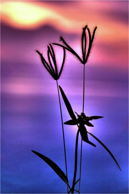 another sunset