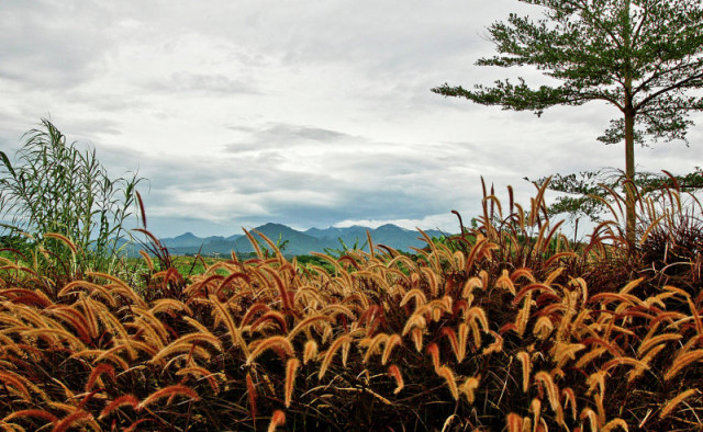 view from sentul city