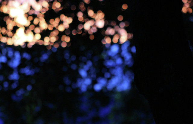 Blue Orange