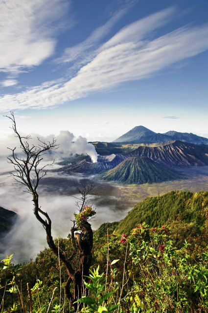 Kala Pagi Menyapa Bromo
