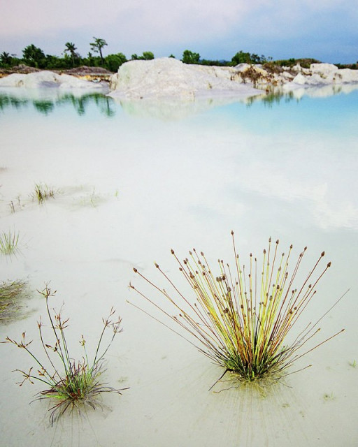 Hidup di kaolin yang sunyi ...