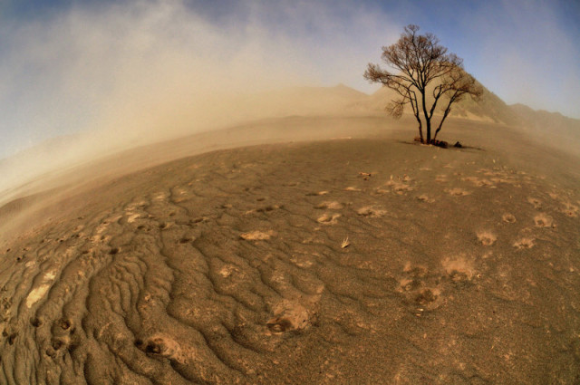 ~~my little planet~~