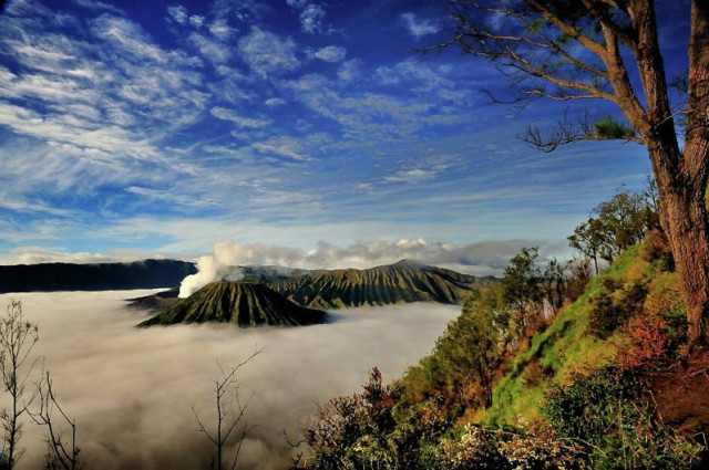 BROMO VIEW