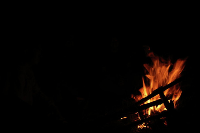firewood