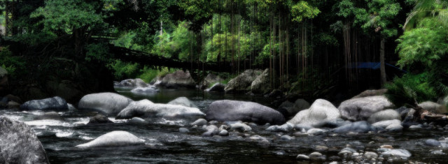 Jembatan Akar