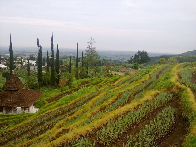 pemandangan