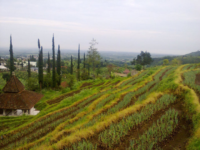 pemandangan