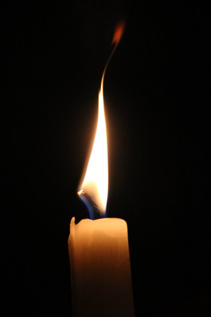 :: fire is friend ::