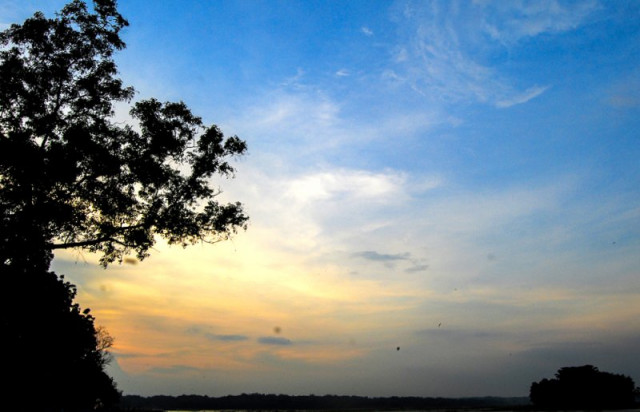pesona senja